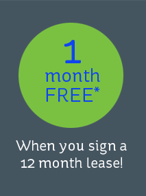 1 month free when you sign a 12 month lease
